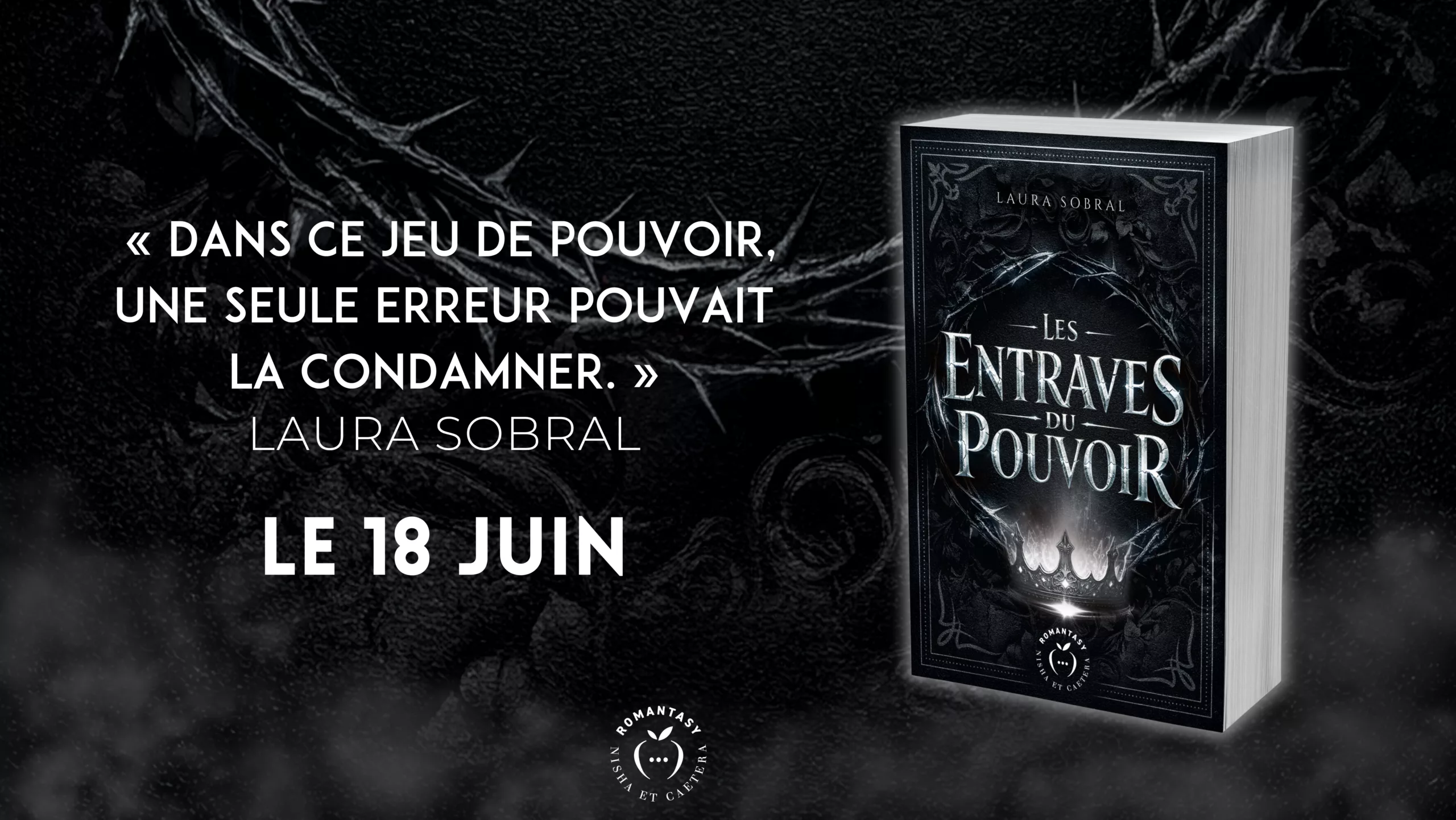 Les Entraves du pouvoir
