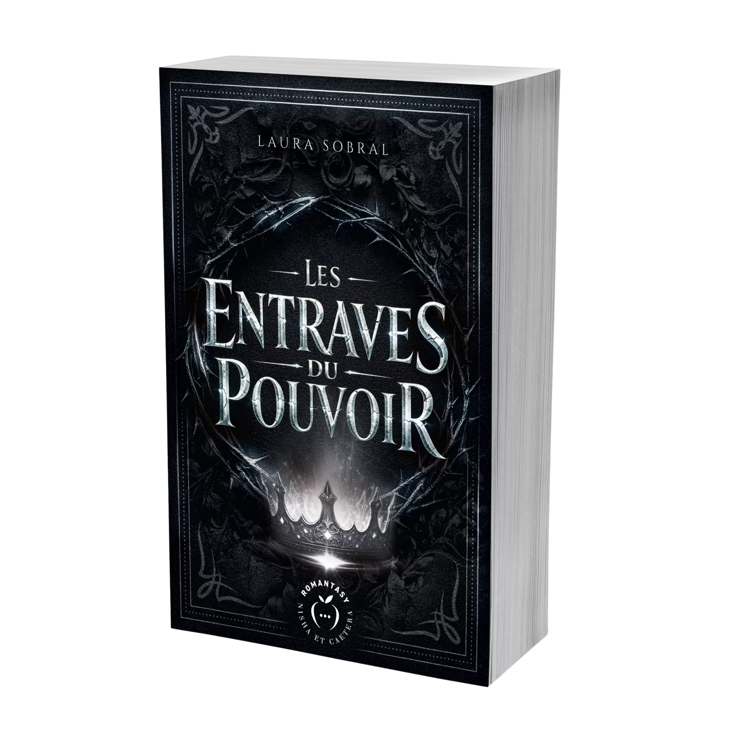 Les Entraves du pouvoir